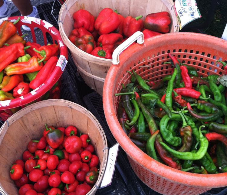 Grilled-Pepper-Salad